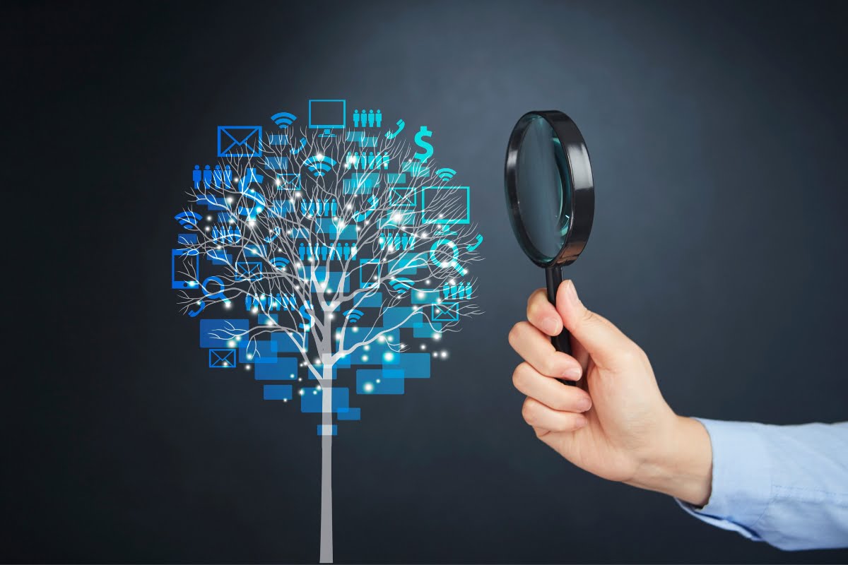 A hand is holding a magnifying glass and examining a tree.