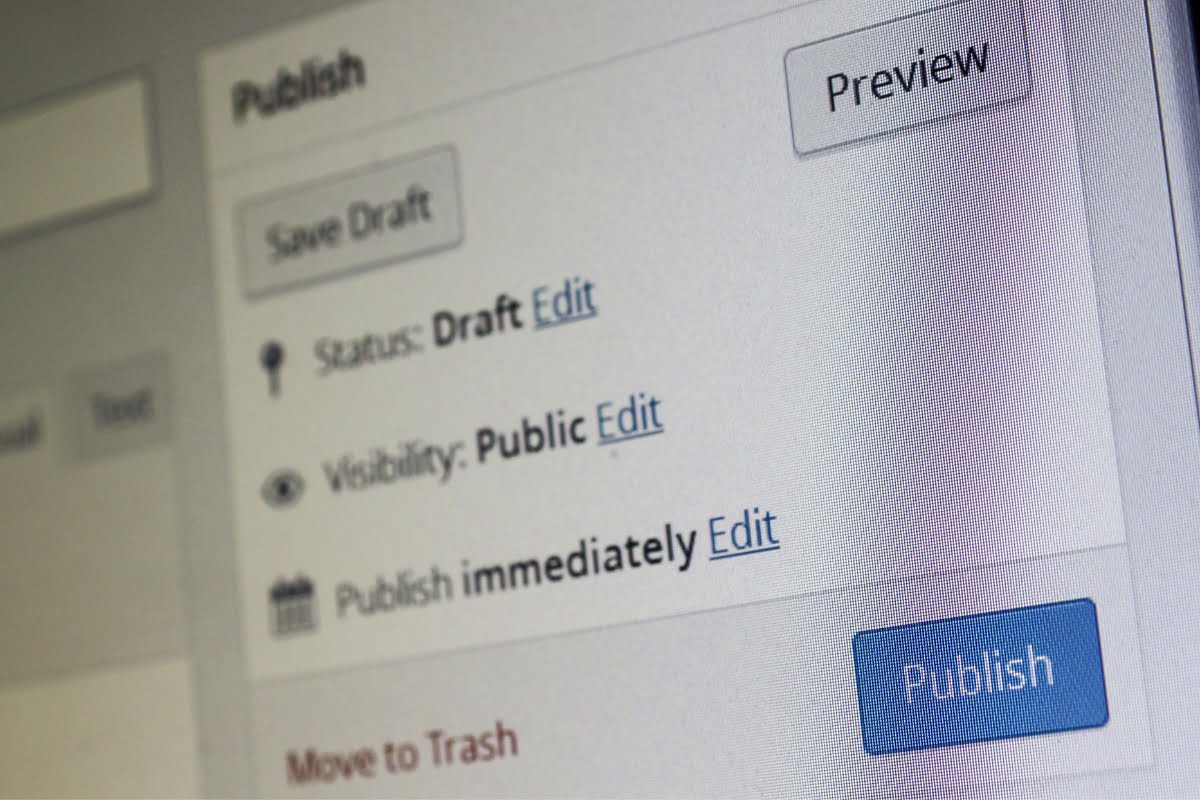 A screen shot of a computer screen with the word 'publish' in WordPress.