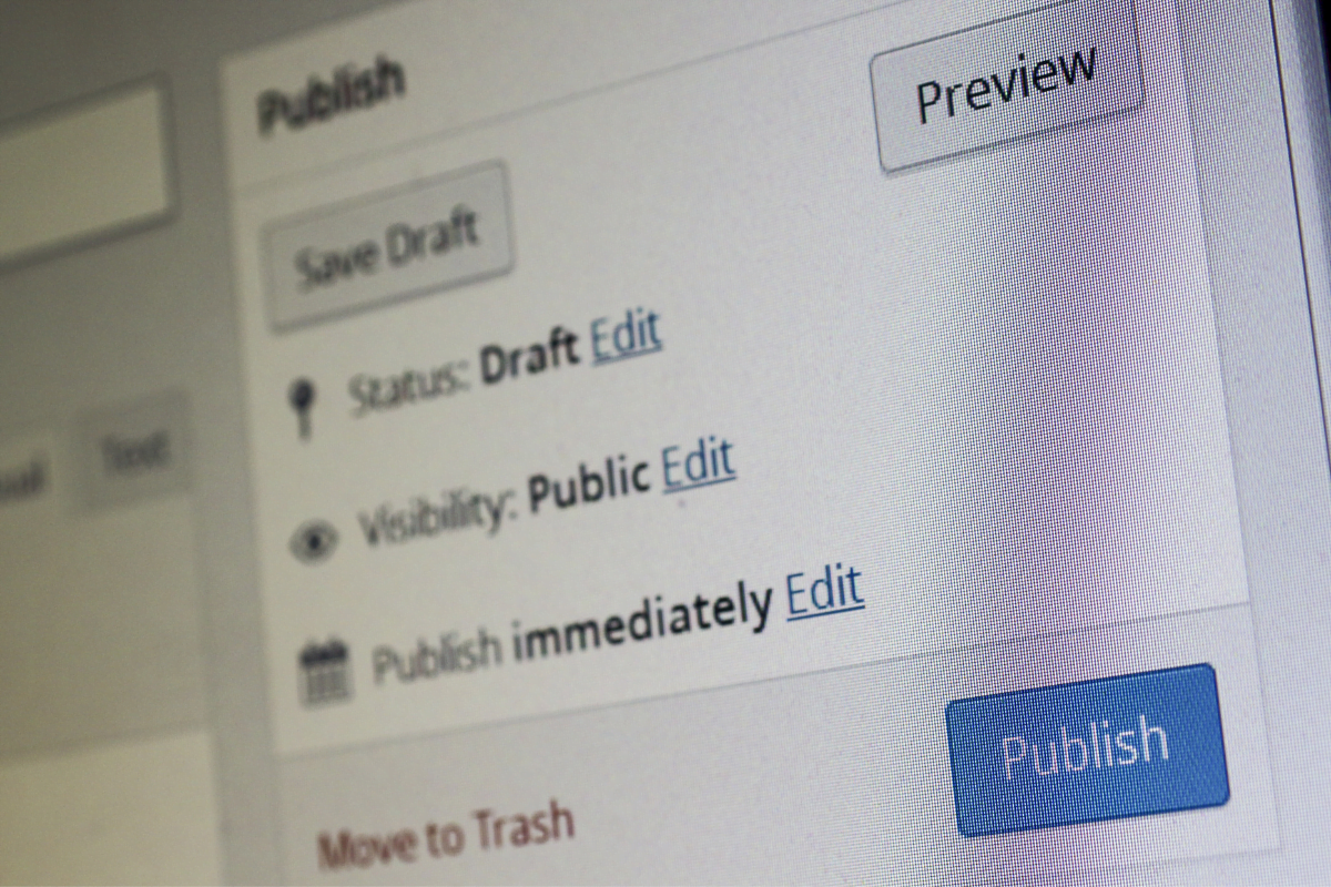 A screen shot of the publish button on a computer in WordPress.