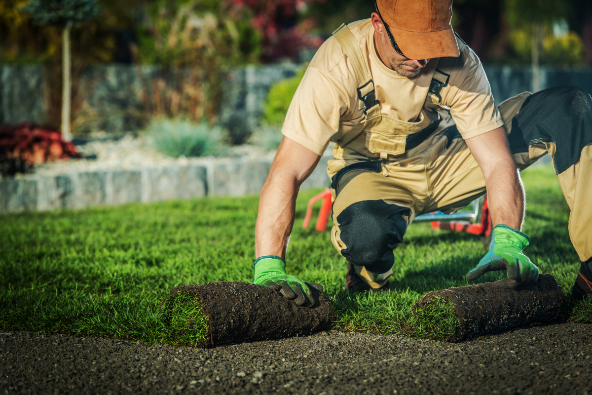 A man is laying down grass on a lawn.