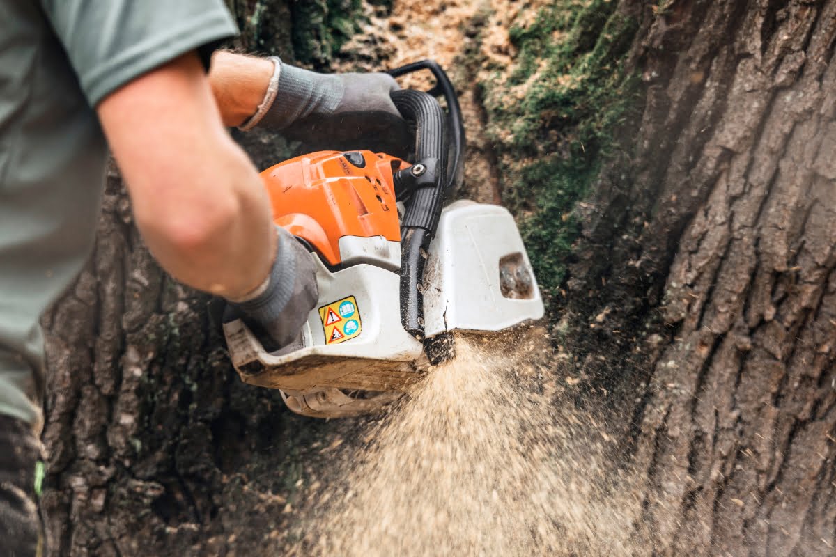 Utilizing a chainsaw for efficient tree removal, this man demonstrates skillful tree service marketing.