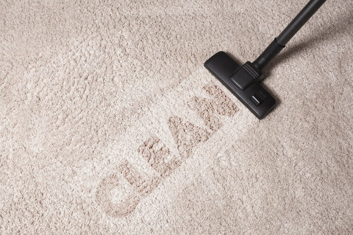 A person cleaning a carpet using a broom for effective carpet cleaning.