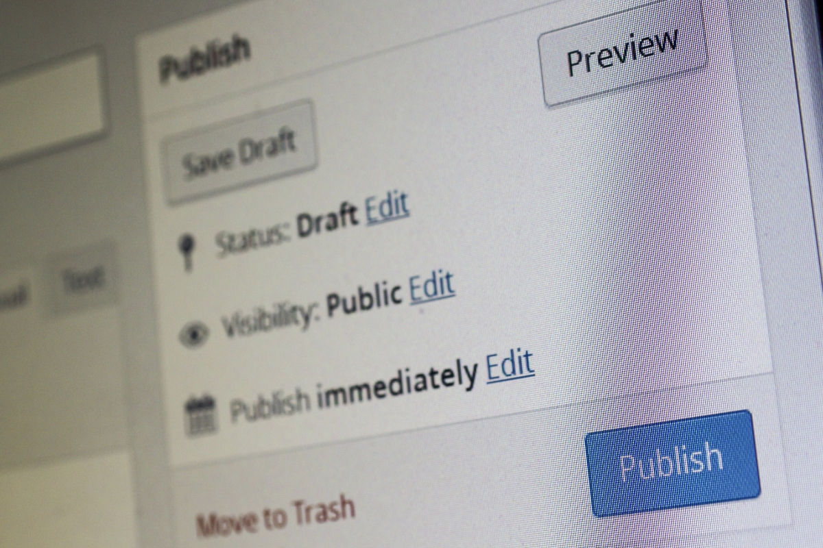 Need help with WordPress? Take a look at this screen shot of a computer screen displaying the publish button.