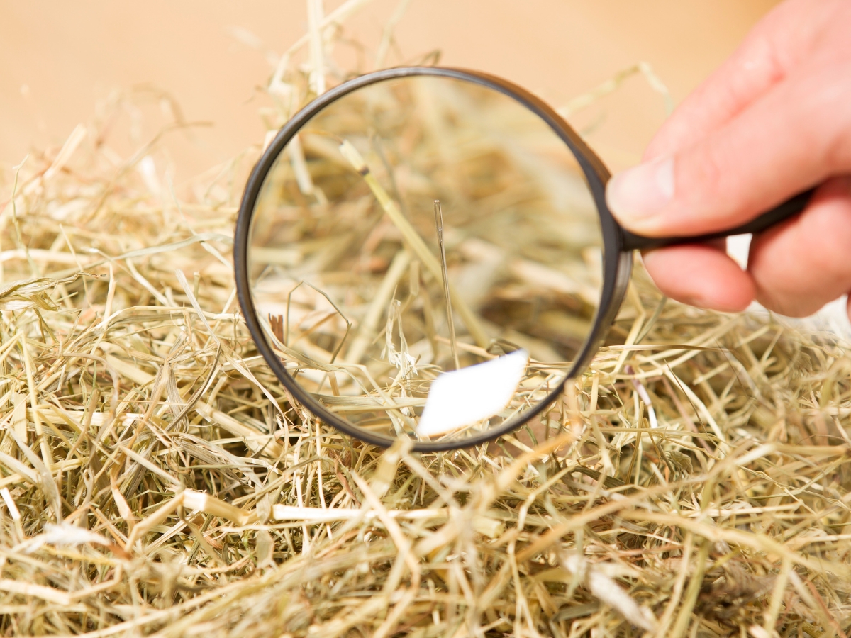 Close-up of a hand holding a magnifying glass over a pile of hay with a visible needle in the center, symbolizing the precision needed for small business SEO during peak seasonal periods.