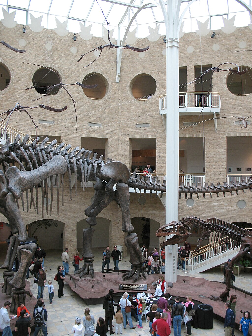 1024px Fernbank interior