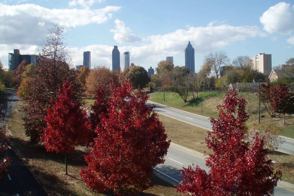 A city skyline under a partly cloudy sky with a road in the foreground, flanked by trees with vibrant red autumn foliage, leading toward Freedom Park.