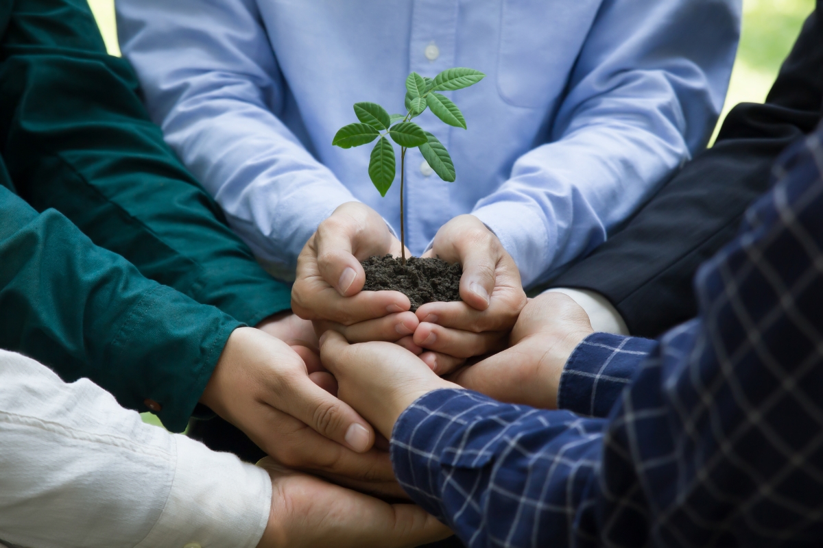 A group of people in business and casual attire jointly hold a small plant with soil, symbolizing teamwork, growth, and the principles of conscious marketing.